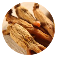 Asian Red Ginseng