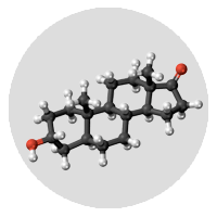 Androsterone