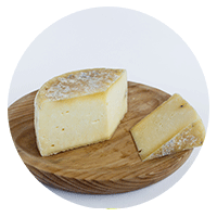 Colostrum Cheese