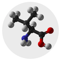 L-Valine