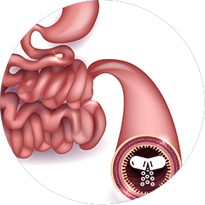 GenuinePurity Longevity+ Enteric Coating